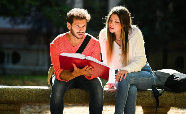 Two Students Studying Together Sitting Bench Outdoor — Stock Photo, Image