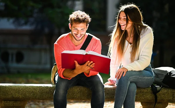 Due Studenti Che Studiano Insieme Seduti Una Panchina All Aperto — Foto Stock