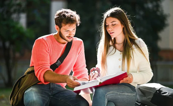 2人の学生が一緒にベンチの屋外に座って勉強する — ストック写真