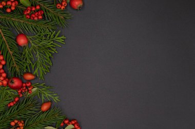 Kırmızı oyuncaklar ve böğürtlenlerle süslenmiş çam dallarının Noel arkaplanı, yeni yıl konsepti, düz yatak, üst manzara