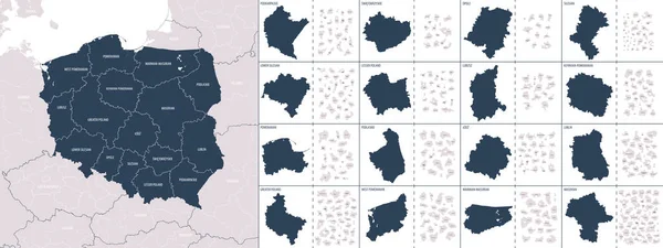 Vector Color Mapa Detallado Polonia Con Divisiones Administrativas Del País — Vector de stock
