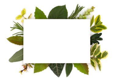 Düz yatış, üst manzara, bahar ve yaz sulu renkli çiçekler ve beyaz arka planda kompozisyon, Textra için kartpostal, 8 Mart, 14 Şubat, düğün ve diğer tatiller için kartpostal konsepti