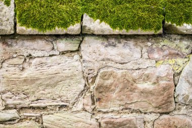 Closeup old medieval mossy wall clipart