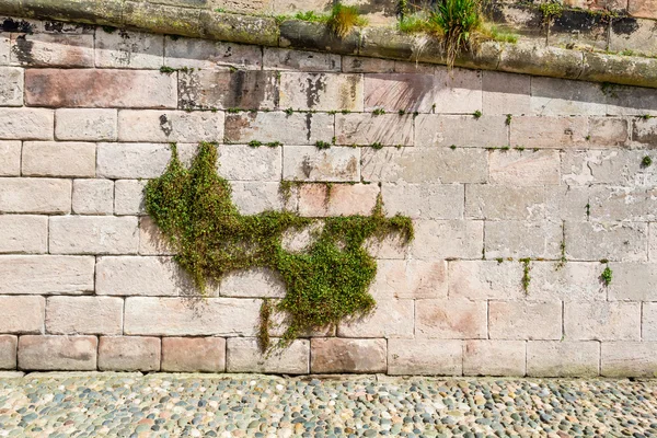 Mittelalterliche Mauer mit Kletterern aus Steinen — Stockfoto