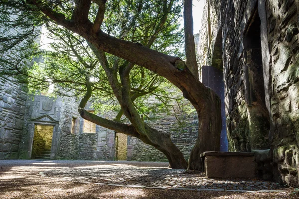 Вход во двор каменного замка — стоковое фото