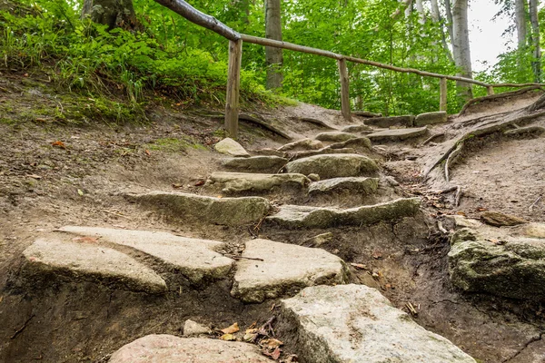 Stone footpath leading the hill — Stock Photo, Image