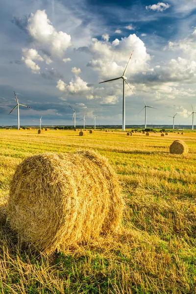 Molinos de viento que generan energía verde — Foto de Stock