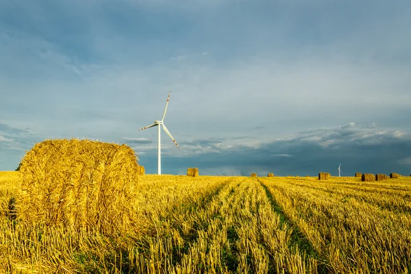 Windmills at harvest time — Stock Photo, Image