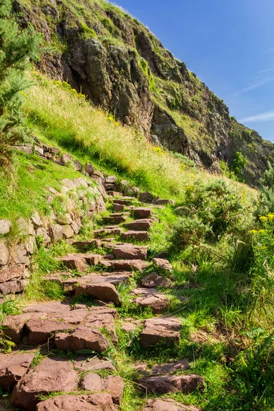 Camino de piedra en las montañas que conduce a la cima —  Fotos de Stock