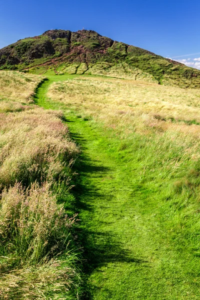 Green footpath to the top of hill in summer — Stock Photo, Image