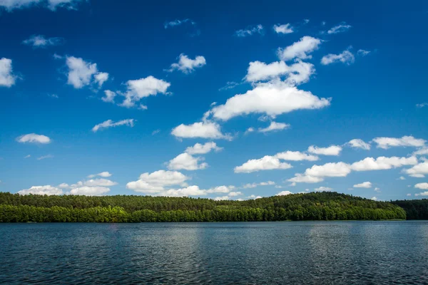 夏季には国立公園内の湖 — ストック写真