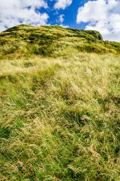 Зелений луг в Единбурзі — стокове фото