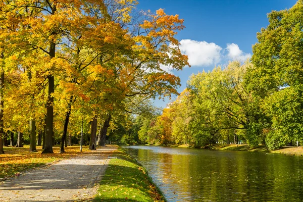 Řeka v podzimním parku za slunečného dne — Stock fotografie