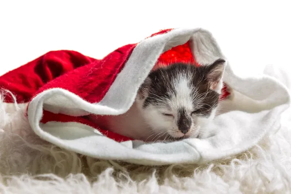 Kätzchen schläft in Weihnachtsmann-Mütze auf weißem Teppich — Stockfoto