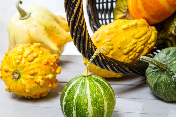 Close-up of an old wicker basket and a small colored pumpkins — Stock Photo, Image