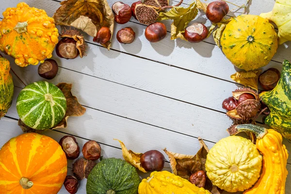 El marco de la cosecha de otoño colocado en un suelo de madera —  Fotos de Stock