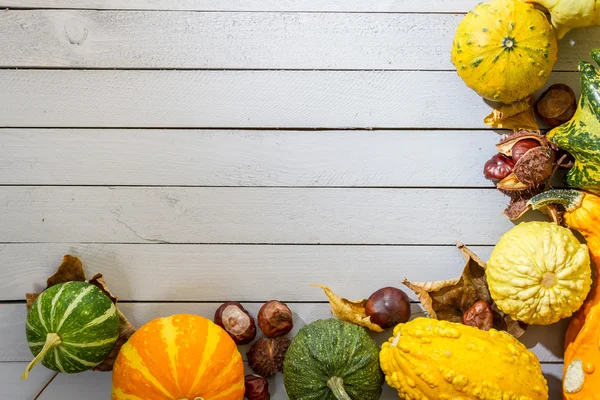 Fond d'automne avec citrouille et feuilles — Photo