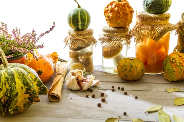 Autumn vegetables on basement shelf on a light background — Stock Photo, Image