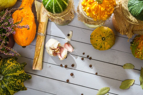 Recipe and autumn vegetables and mushrooms in jars — Stock Photo, Image