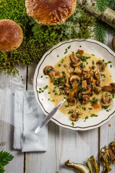 Sopa com cogumelos selvagens em um ambiente natural — Fotografia de Stock