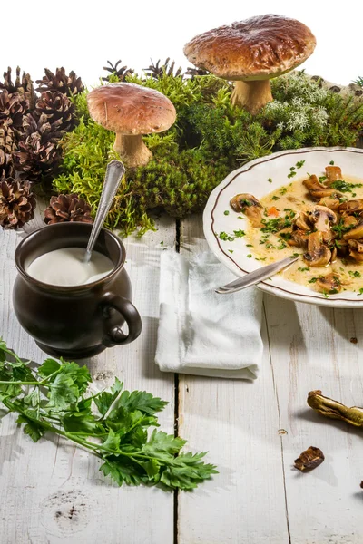 Frische Zutaten für Pilzsuppe — Stockfoto