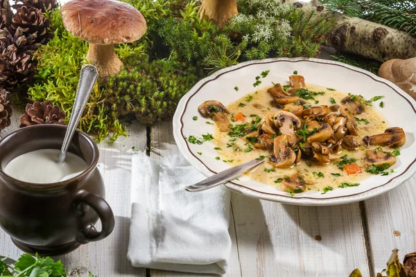 Closeup divoké houbová polévka — Stock fotografie