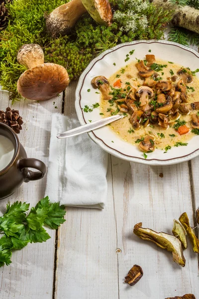 Sopa de cogumelos acabada de sair da floresta — Fotografia de Stock