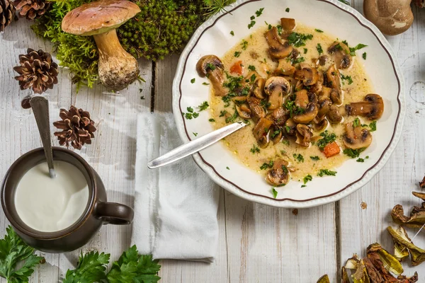 Pilzsuppe mit Sahne und Champignons — Stockfoto