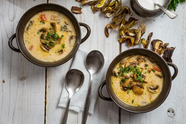 Close-up of two bronze plate of mushroom soup — Stock Photo, Image