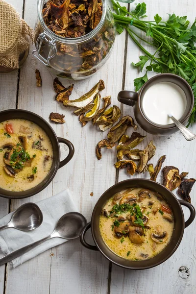 Setas secas y perejil fresco como ingrediente sopa de champiñones —  Fotos de Stock