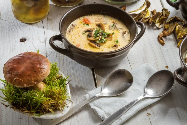 Close-up on fresh mushrooms and mushroom soup — Stock Photo, Image