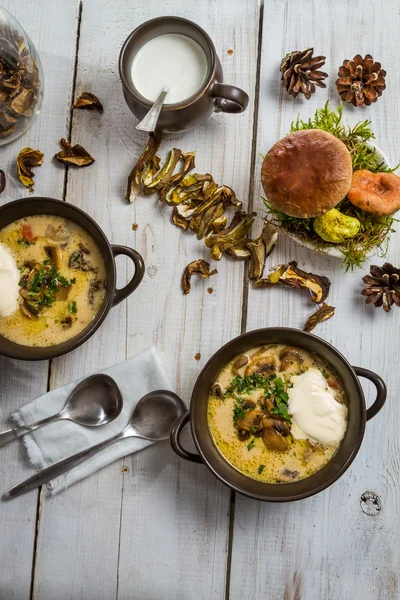 Грибний суп подається в лісовому стилі — стокове фото
