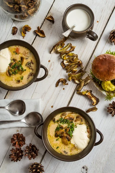 Unusually served mushroom soup — Stock Photo, Image