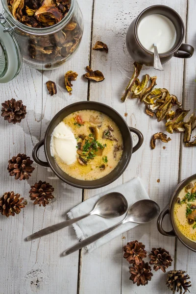 Forest mushroom soup and achievements — Stock Photo, Image