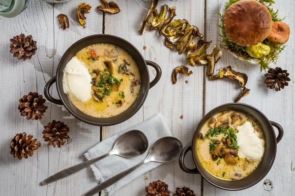 Sopa de cogumelos com creme azedo e cones florestais — Fotografia de Stock