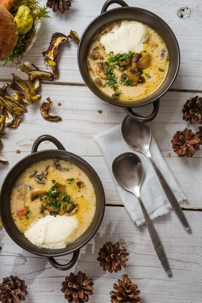 Paddestoel soep geserveerd op een unieke manier met champignons — Stockfoto