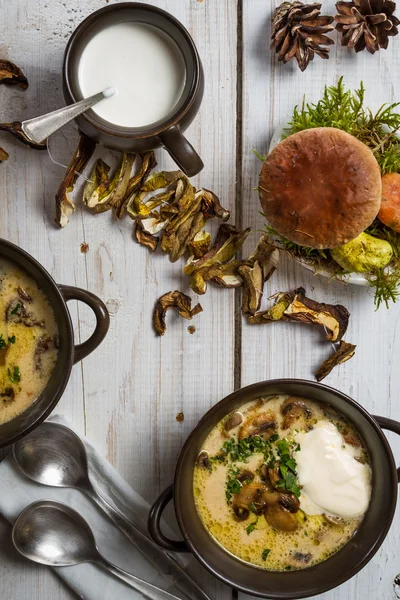 Ingredientes de sopa de cogumelos selvagens — Fotografia de Stock