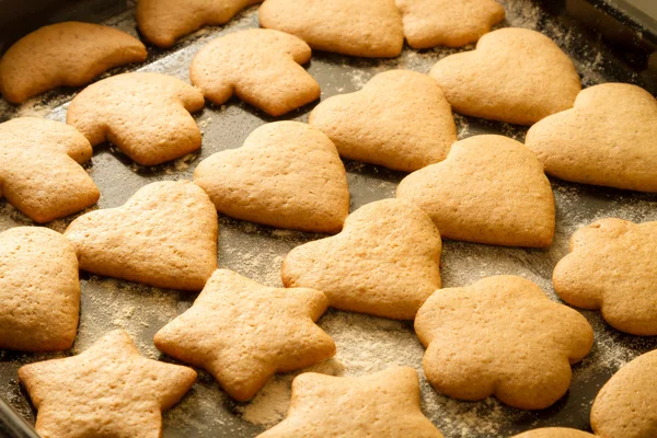 Freshly baked gingerbread cookies — Stock Photo, Image