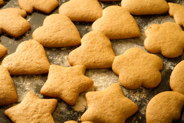 Freshly baked homemade gingerbread cookies — Stock Photo, Image