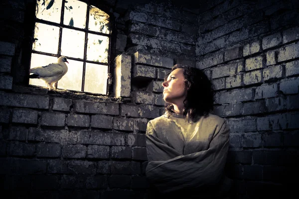 Женщина и белый голубь в тюрьме как символ мечты о свободе — стоковое фото