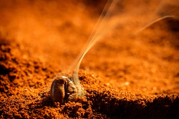 로스 팅 커피 씨앗의 향기 — 스톡 사진