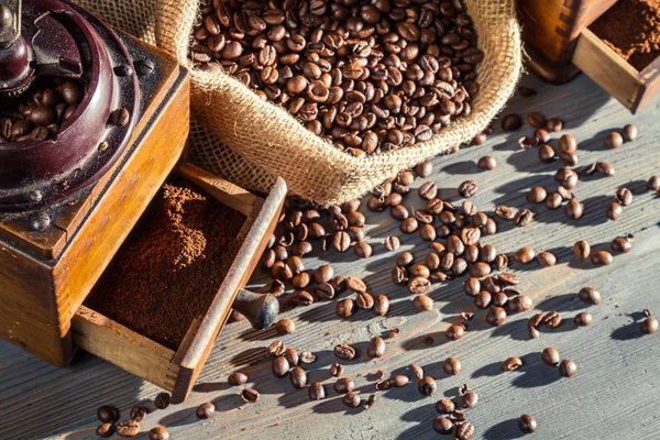 Primer plano de un molinillo de café completo — Foto de Stock