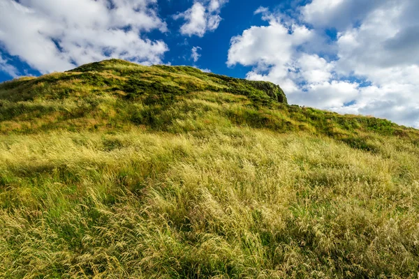 Weergave van groene heuvels in edinburgh in de zomer — Stockfoto