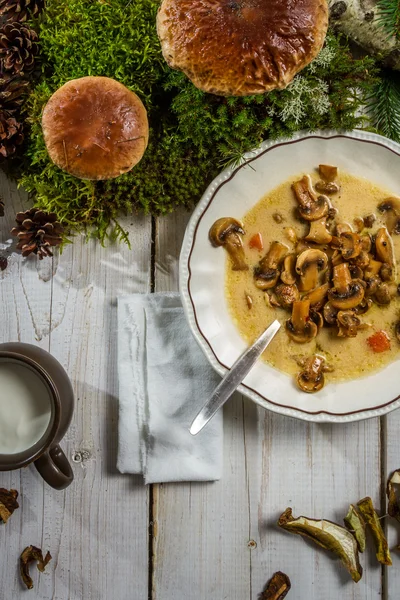 Суп з дикими грибами в природному середовищі — стокове фото