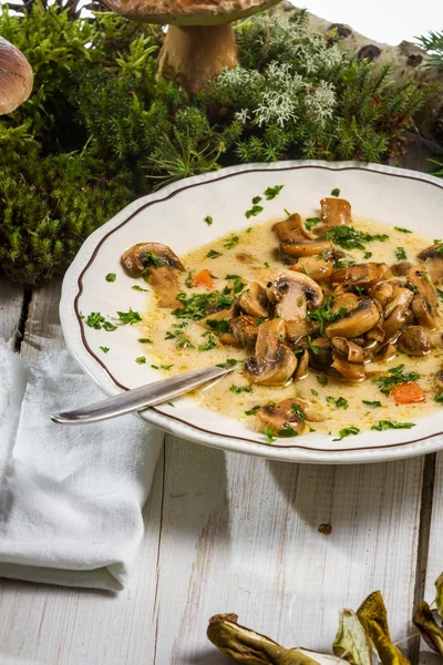 Ingredients for home forest mushroom soup — Stock Photo, Image