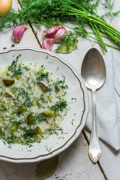 Un piatto di zuppa, cetriolo e aneto fresco — Foto Stock