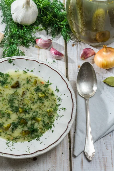 Zuppa di cetrioli fatti in casa e aneto fresco — Foto Stock