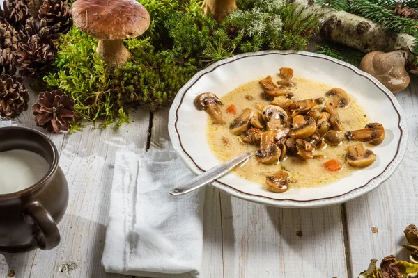 Fechar a sopa de cogumelos selvagens e musgo — Fotografia de Stock