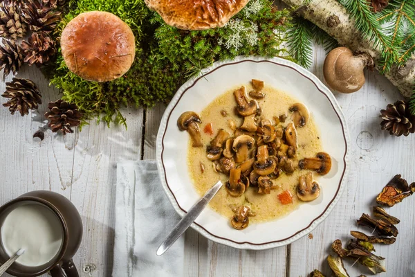 Primo piano della zuppa di funghi selvatici e parte della foresta — Foto Stock