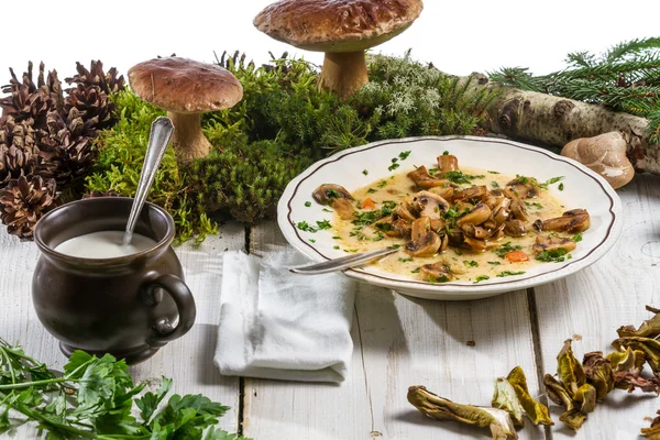 Primo piano di zuppa di funghi selvatici e ingredienti — Foto Stock